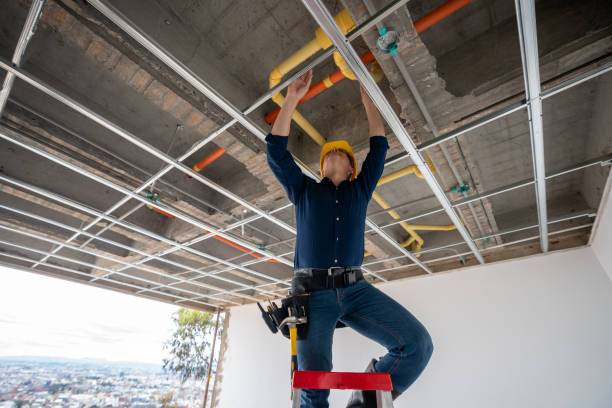Best Affordable Plumbing Services  in Acres Green, CO
